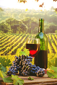 NAPA VALLEY WINERY EDUCATION CENTER